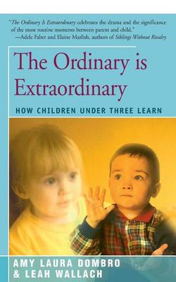The Ordinary is Extraordinary