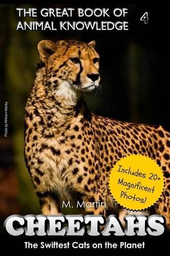 Cheetahs