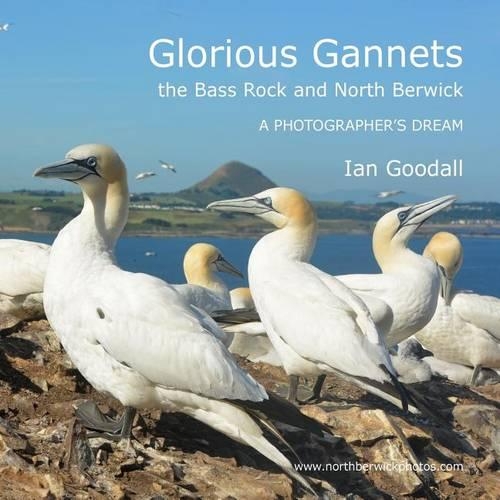 Glorious Gannets, the Bass Rock and North Berwick