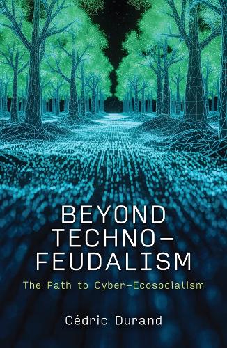 Beyond Technofeudalism