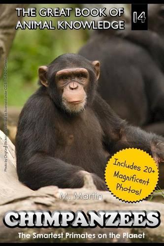 Chimpanzees