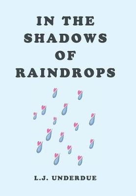 In the Shadows of Raindrops