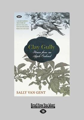 Clay Gully