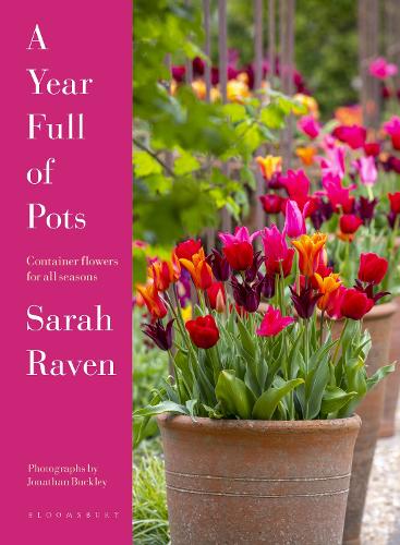 A Year Full of Pots