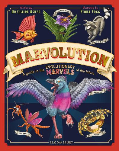 Marvolution by Claire Asher