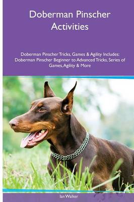 Doberman Pinscher Activities Doberman Pinscher Tricks, Games & Agility. Includes