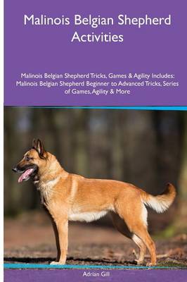 Malinois Belgian Shepherd Activities Malinois Belgian Shepherd Tricks, Games & Agility. Includes