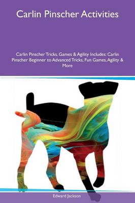 Carlin Pinscher Activities Carlin Pinscher Tricks, Games & Agility Includes
