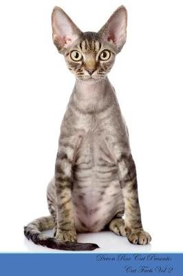 Devon Rex Cat Presents
