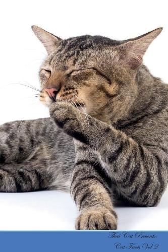 Thai Cat Presents