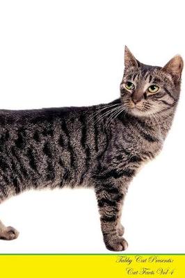 Tabby Cat Presents