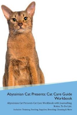 Abyssinian Cat Presents