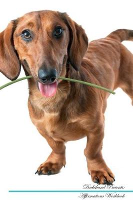 Dachshund Affirmations Workbook Dachshund Presents