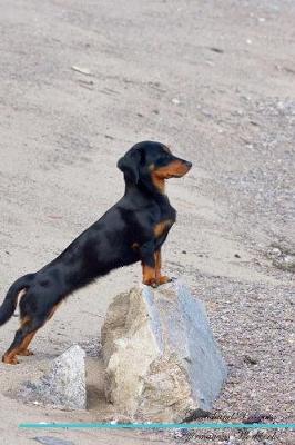 Dachshund Affirmations Workbook Dachshund Presents