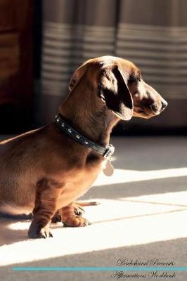 Dachshund Affirmations Workbook Dachshund Presents
