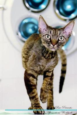 Devon Rex Affirmations Workbook Devon Rex Presents