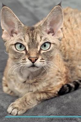 Devon Rex Affirmations Workbook Devon Rex Presents
