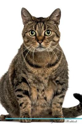 European Shorthair Cat Affirmations Workbook European Shorthair Cat Presents