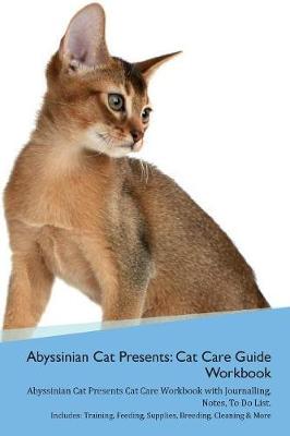 Abyssinian Cat Presents