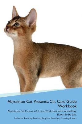 Abyssinian Cat Presents