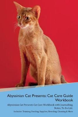 Abyssinian Cat Presents