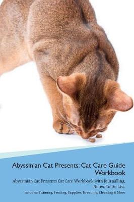 Abyssinian Cat Presents