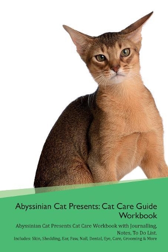 Abyssinian Cat Presents