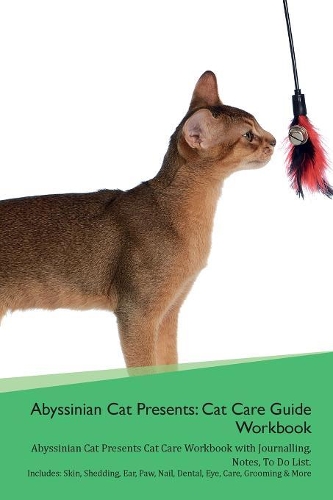 Abyssinian Cat Presents