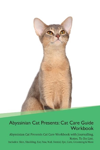 Abyssinian Cat Presents