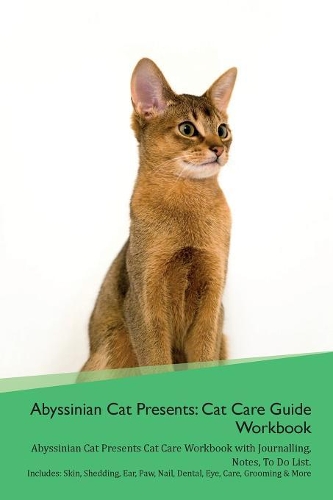Abyssinian Cat Presents