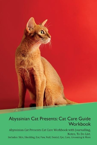 Abyssinian Cat Presents