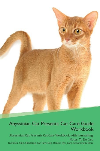 Abyssinian Cat Presents