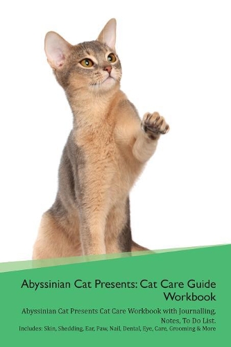 Abyssinian Cat Presents
