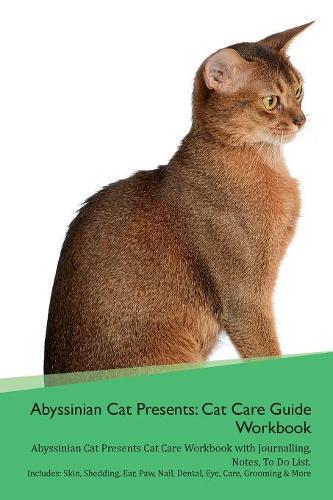Abyssinian Cat Presents
