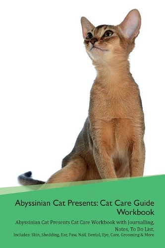 Abyssinian Cat Presents