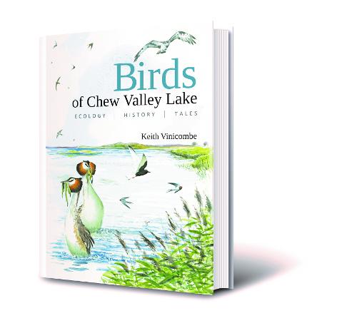 Birds of Chew Valley Lake