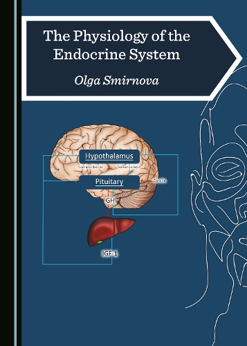 The Physiology of the Endocrine System