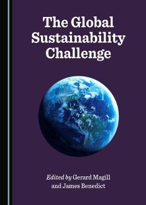 The Global Sustainability Challenge