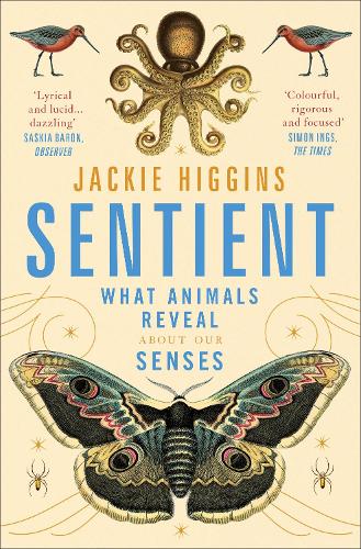 Sentient