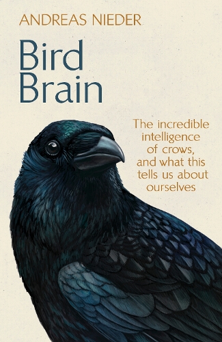 Bird Brain