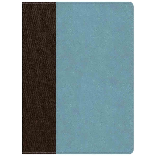 CSB Life Essentials Study Bible, Brown/Sky LeatherTouch