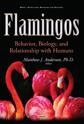 Flamingos