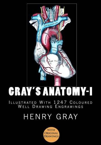 Gray's Anatomy