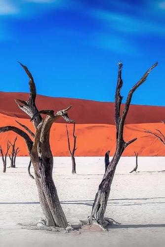 Namibia Wilderness