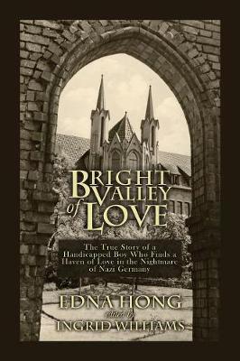 Bright Valley of Love