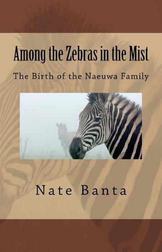 Among the Zebras in the Mist