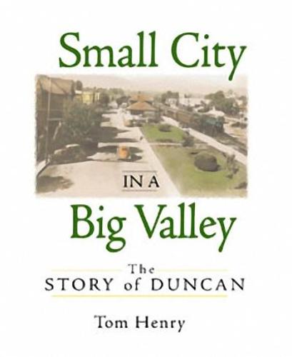 Small City in a Big Valley
