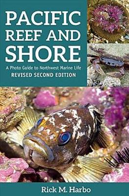 Pacific Reef and Shore