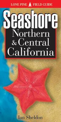 Seashore of Northern and Central California
