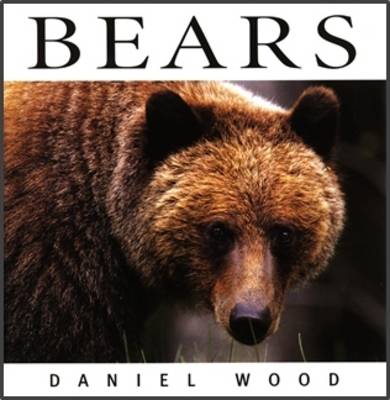 Bears